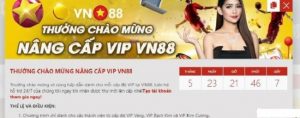 cap do vip tai vn88