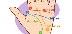 chỉ tay đường sinh mệnh