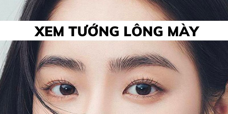 Tuong long may mong trong phong thuy ra sao?