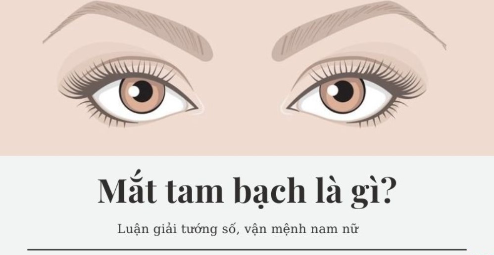 Mat tam bach ra sao?